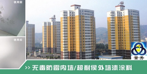 无毒防霉墙面漆涂料 